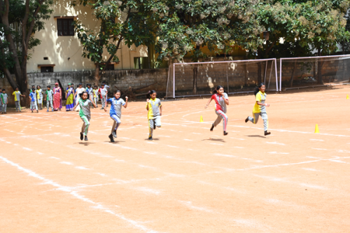 Sports6