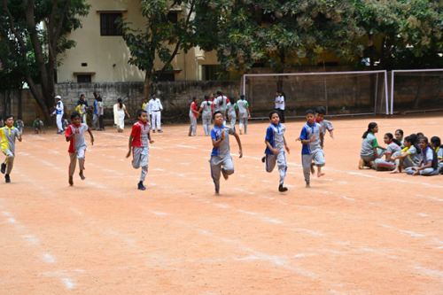Sports7